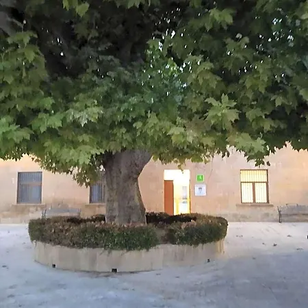Hostel De *